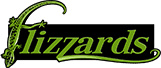 Flizzards logo
