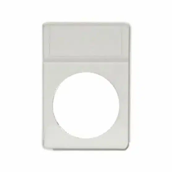 Large Dollar 2x3 White Foam Insert, No Slab by BCW, single image view-20857