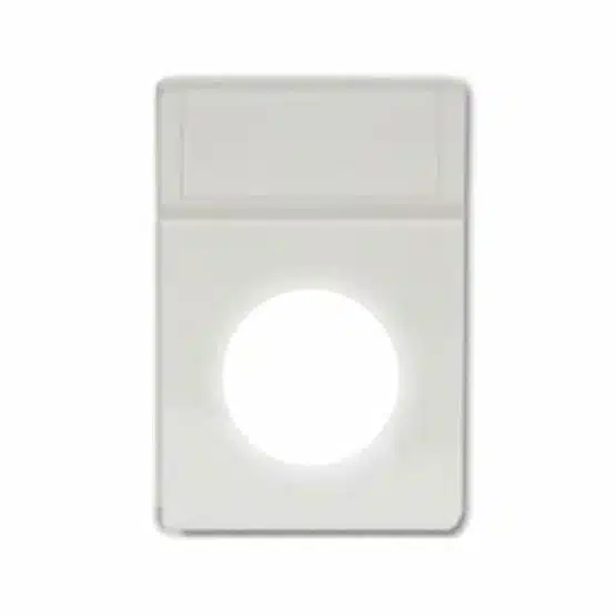 Quarter 2x3 White Foam Insert, No Slab by BCW, single image view-20869