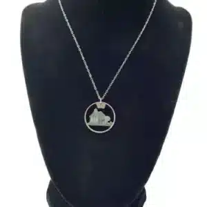 Iowa State Jewelry, Coin Cut Necklace, State Quarter, 18-inch Chain on black display zoomed in image view-20561IA