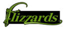 Contact Us Flizzards logo