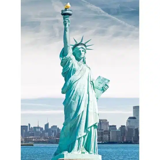 American Silver Eagle Folder 2004–2021-lady liberty-20098